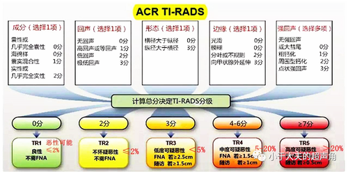 超声医学汇